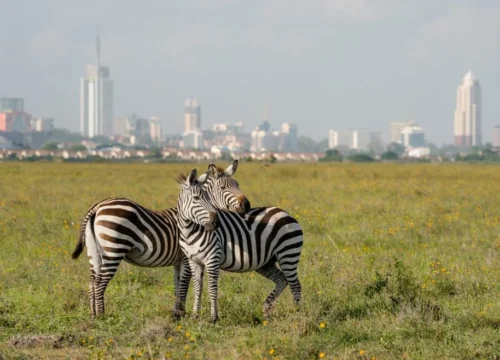 14-Day The Grand Kenya Overland Safari