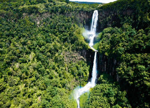 8-Day Central Highlands & Northern Frontier Safari