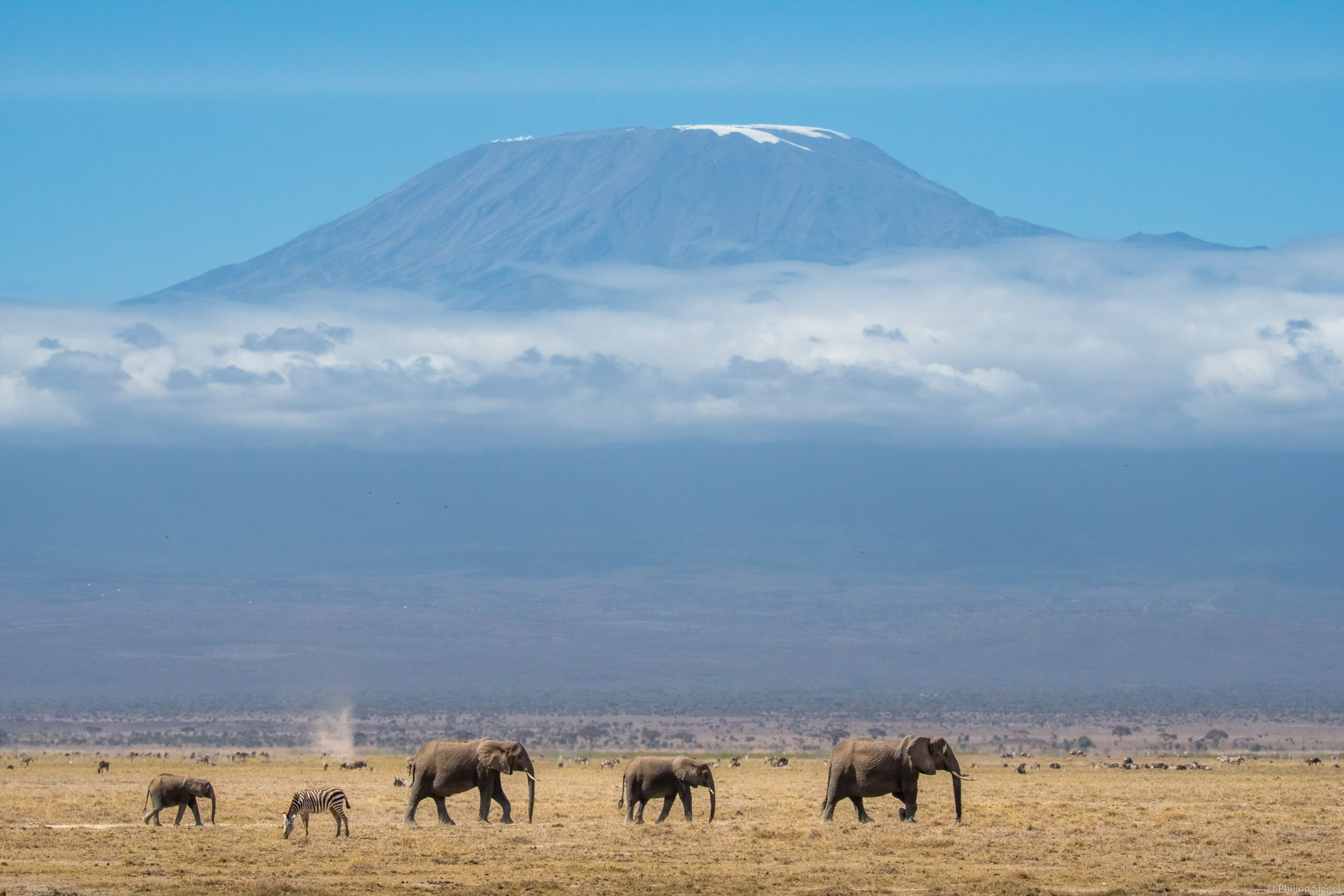 Amboseli – Home of Giants