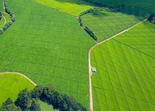 10-Day Great Rift & Highlands Cultural Trail Safari