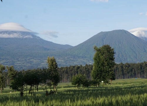 Rwanda Highlights (Kigali, Volcanoes, Lake Kivu)