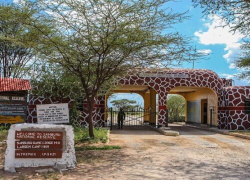 7-Day Rift Valley Lakes to Samburu Safari