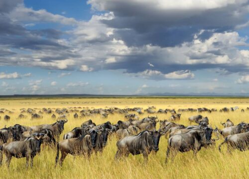 5-Day Rift Valley & Mara Explorer Safari