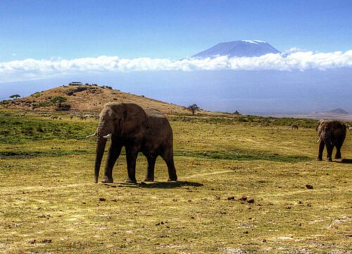 6-Day Amboseli, Rift & Mara Safari