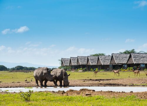 Northern Wilderness Trail – Samburu, Laikipia & Marsabit