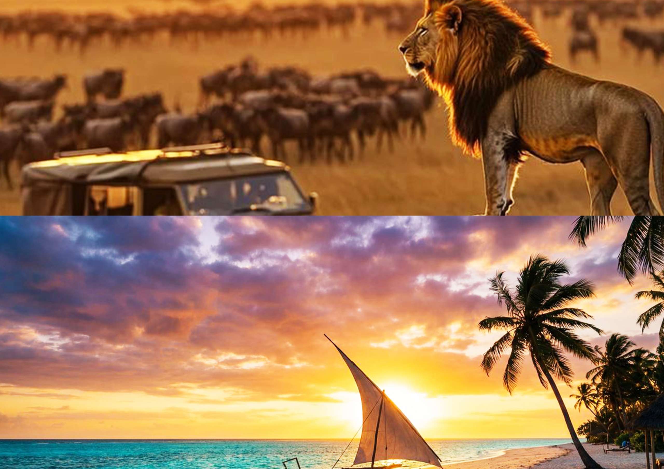 Why 2026 Is the Perfect Year to Experience an African Safari