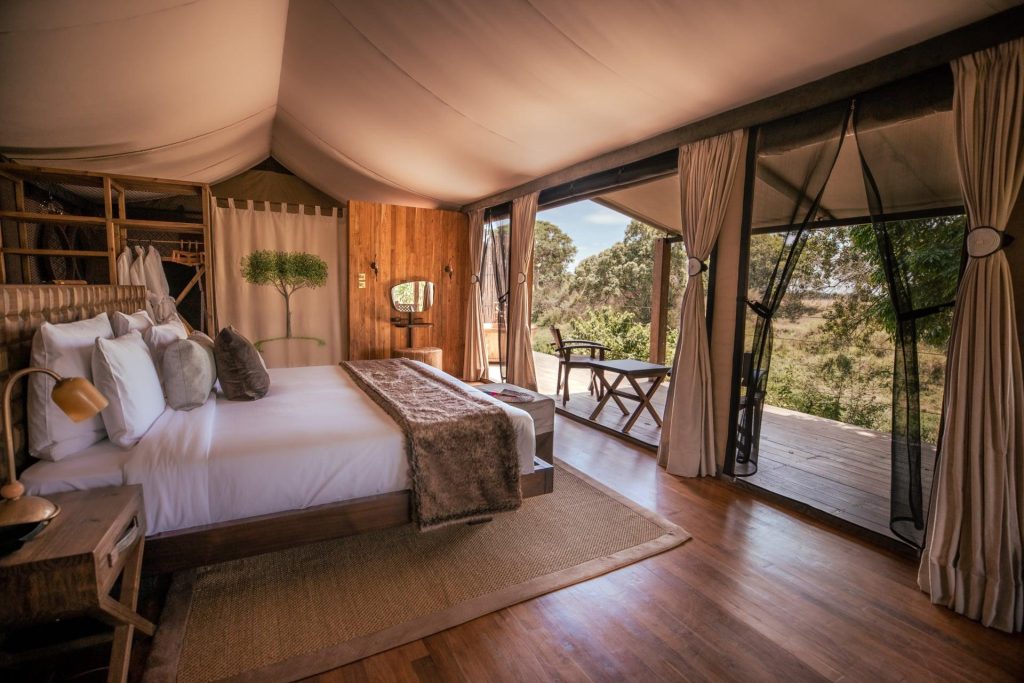 Maasai Mara safari camp and landscape during Great Migration season