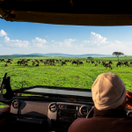 First-time safari tourist enjoying a game drive in Kenya.